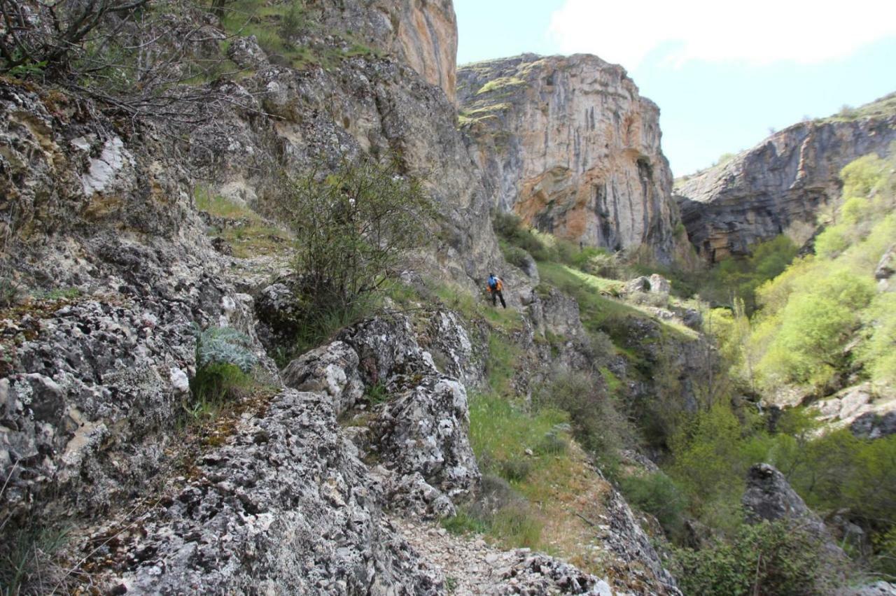 בית הארחה Torremocha del Campo 	Casa La Alegria De La Alcarria I מראה חיצוני תמונה