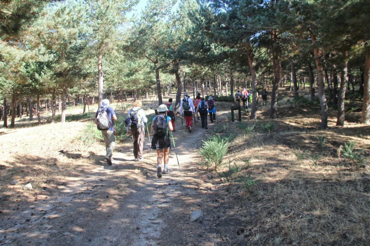 בית הארחה Torremocha del Campo 	Casa La Alegria De La Alcarria I מראה חיצוני תמונה